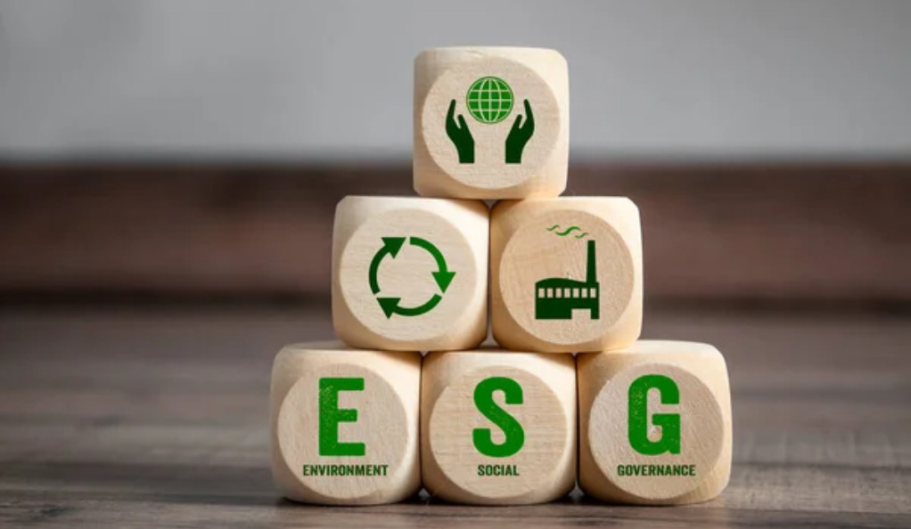 Understanding ESG Criteria: A Comprehensive Guide to Sustainable Investing